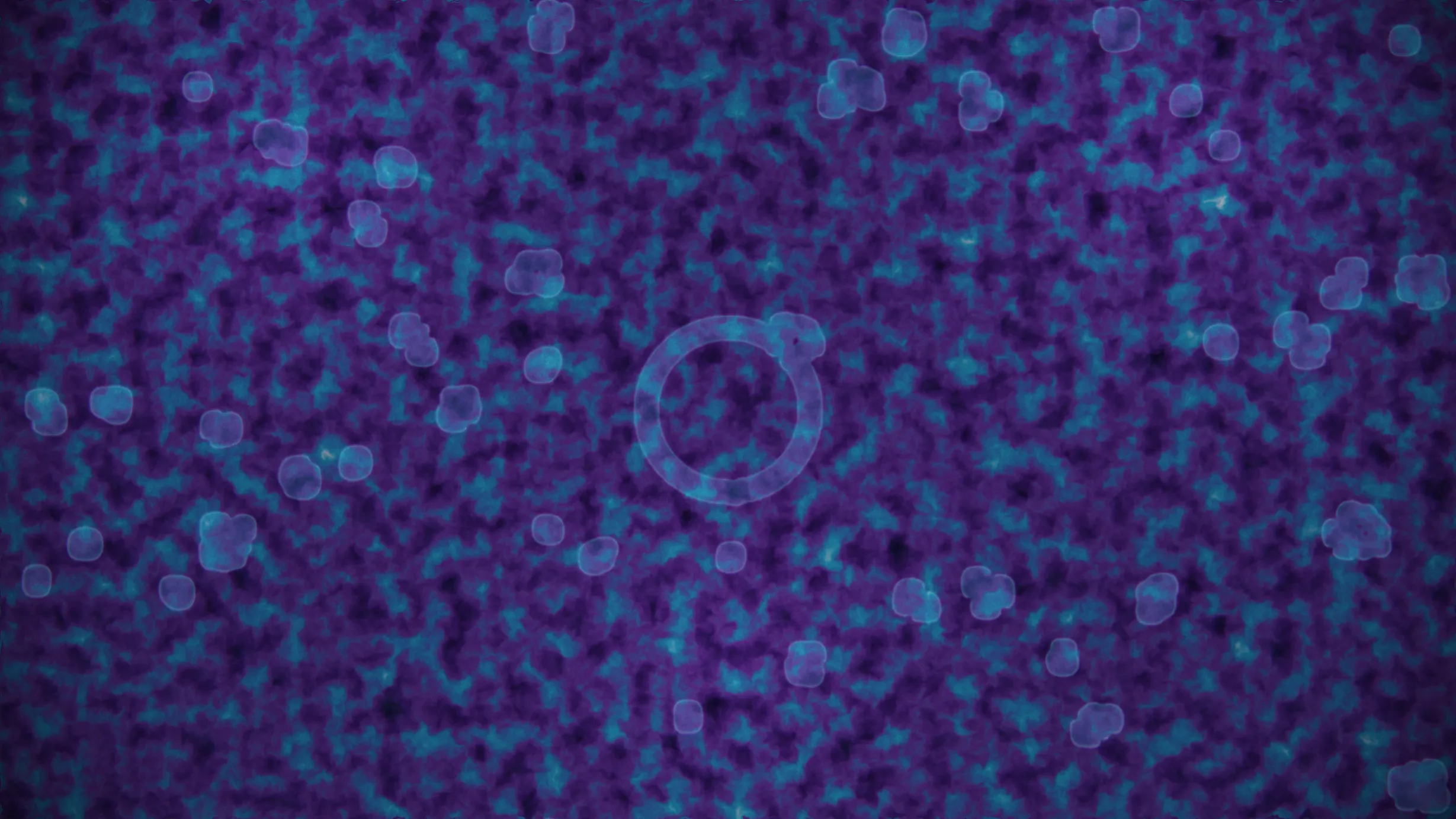 Signal Decay — image 3