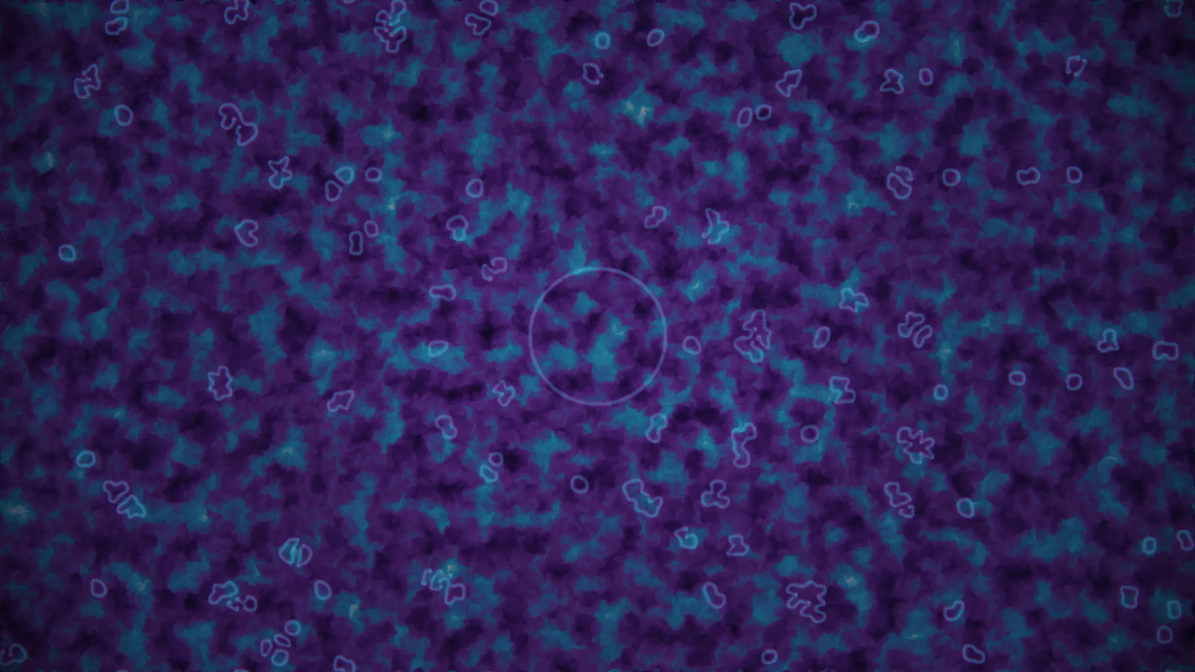 Signal Decay — image 5