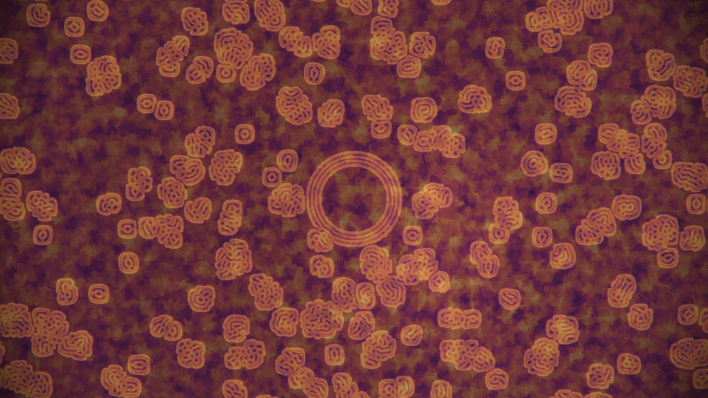 Signal Decay — image 6