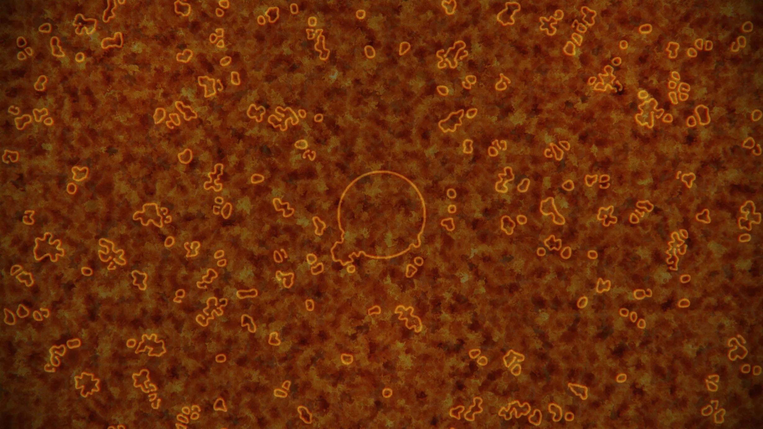 Signal Decay — image 7